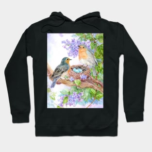 Robins with Nest and Eggs Hoodie